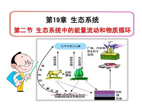 能量流失|能量流动